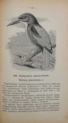 Мензбир М.А. Птицы России. 2-е изд., с прибавлением ст. «О пользе и вреде птиц». В 2 т. Т. 1−2. М., 1895